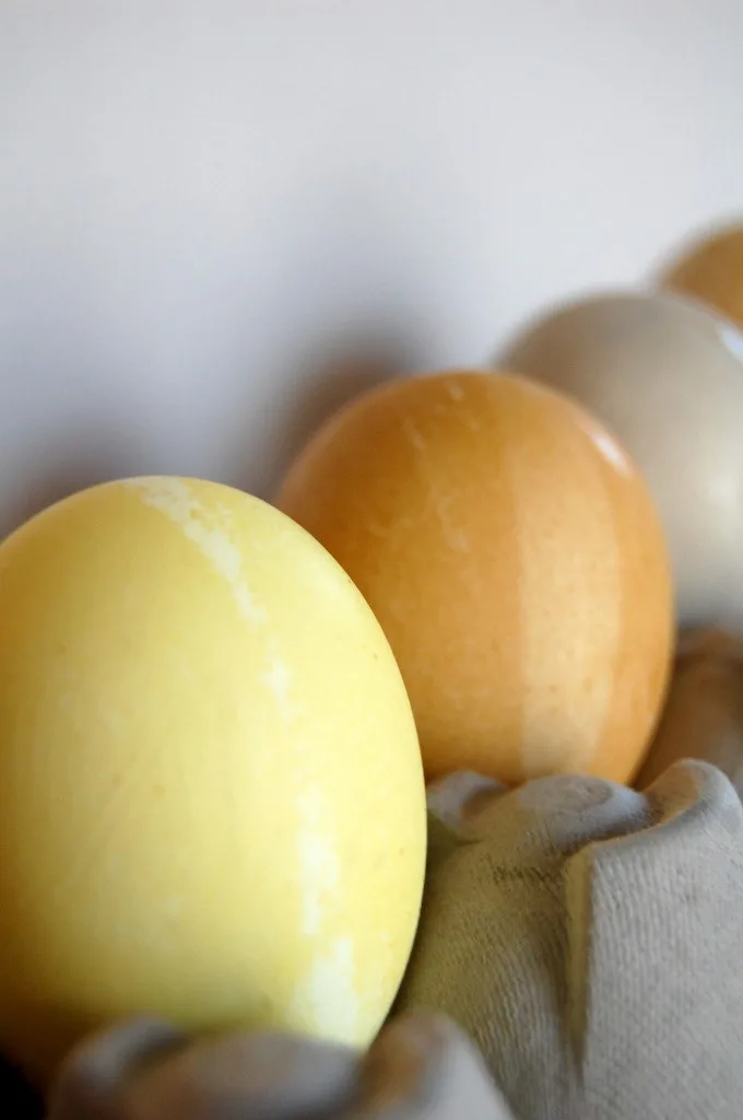 Natural Easter Egg Dye