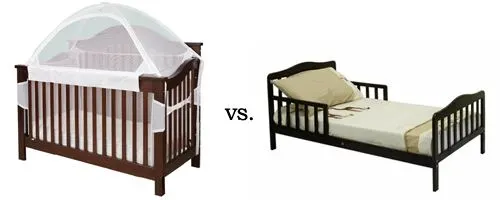 Crib Tent vs. Toddler Bed