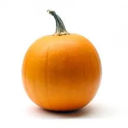 photo of a pumpkin