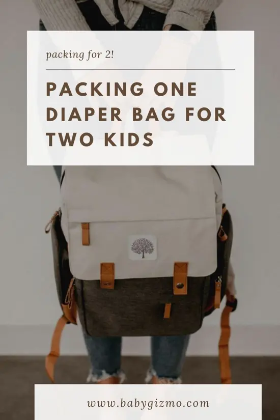 diaper bag for two