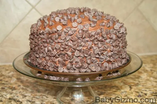 chocolate cake frosted and covered with chocolate chips