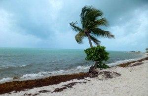 Hawk's Cay Resort Review