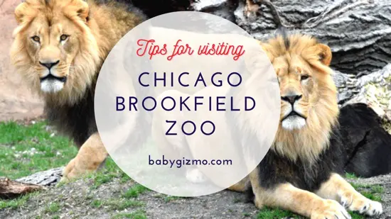 Chicago Brookfield Zoo Tips