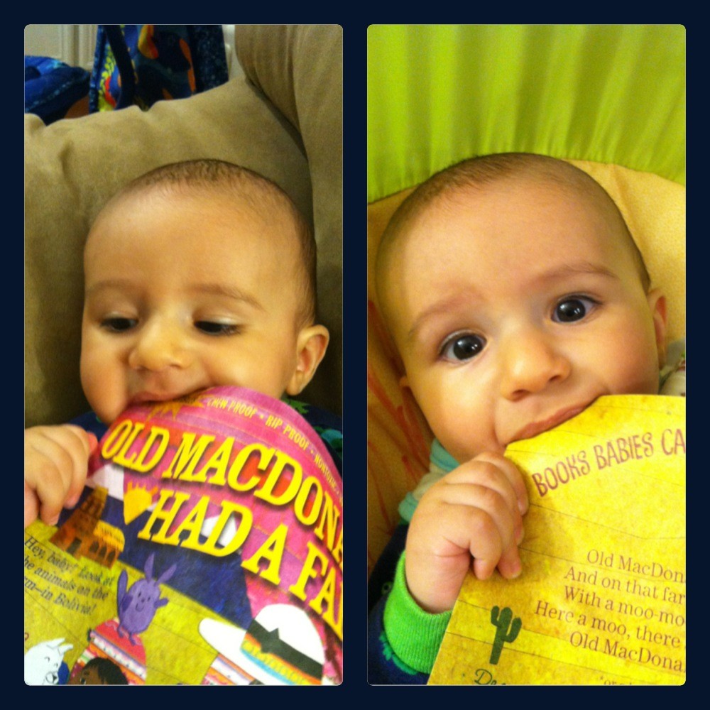 teething books for babies