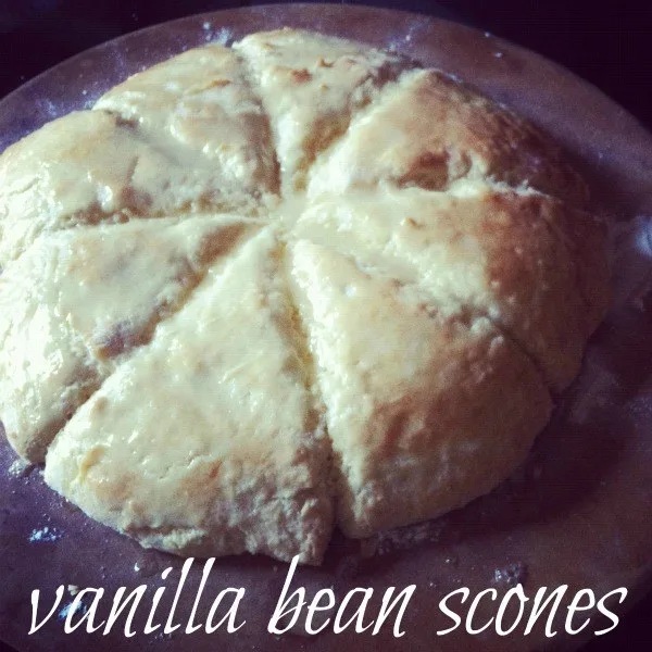 vanilla bean scones