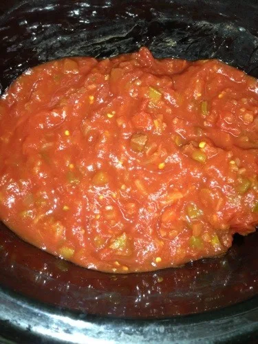 chicken with salsa
