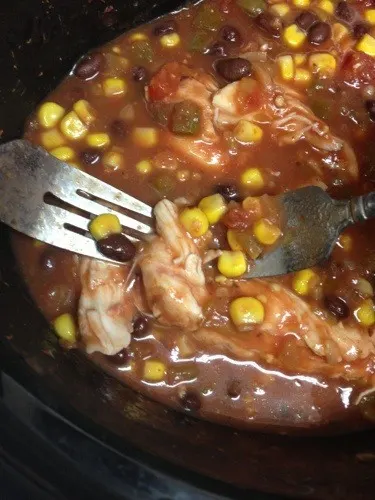 salsa chicken in a crockpot