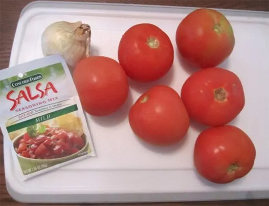 tomatoes with salsa
