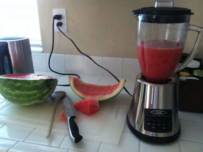 watermelon next to blender