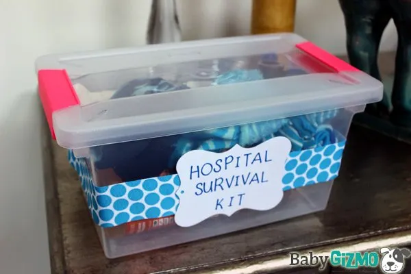 Mom hospital survival kit 2024 list