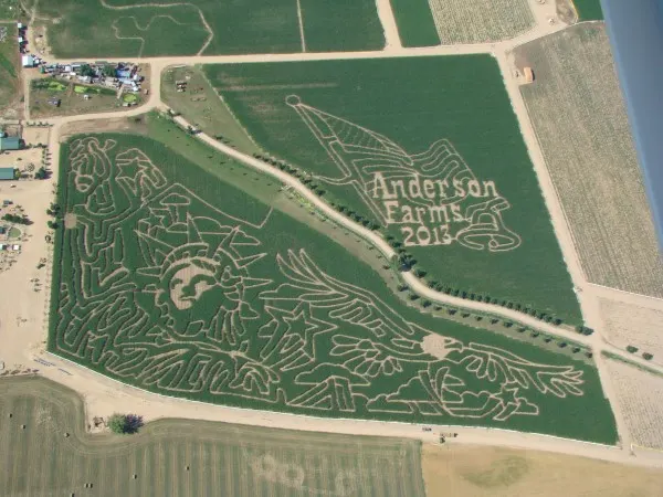 Andersom Farms corn maze