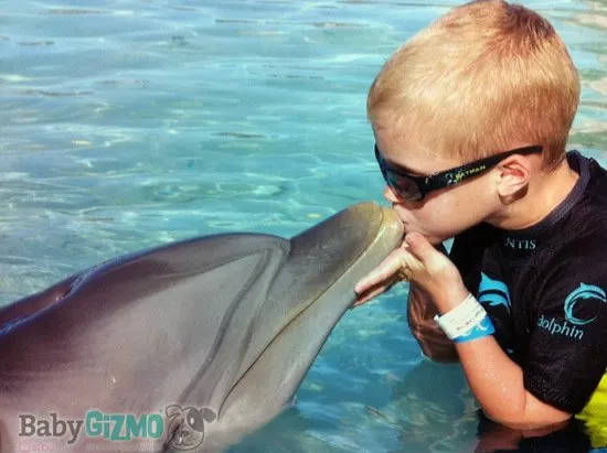 Dolphin Kiss