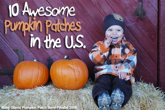 Best Pumpkin Patches