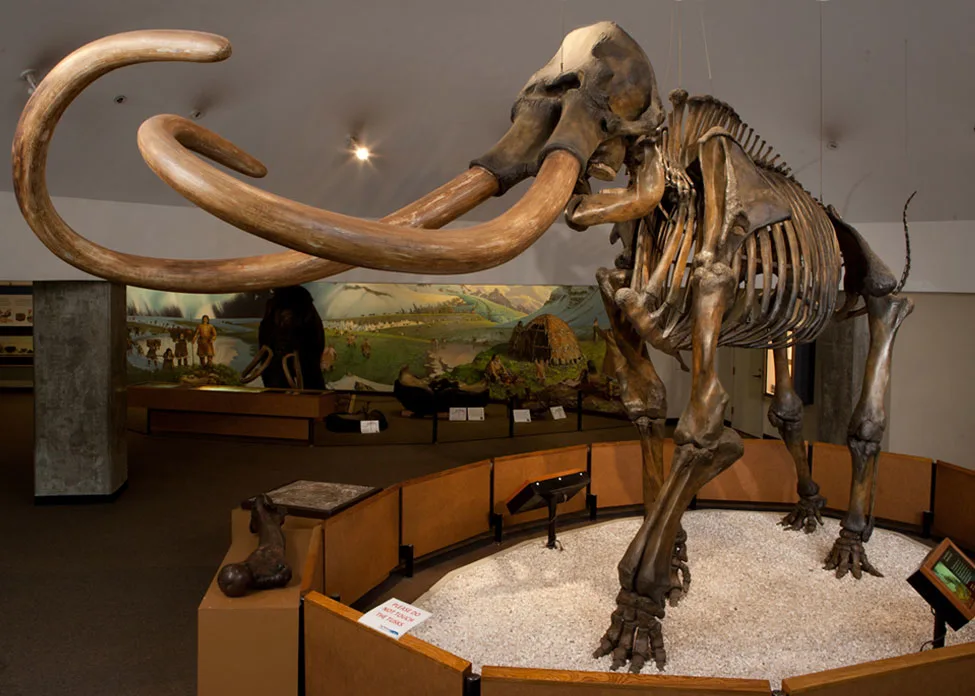 Mammoth brea pits