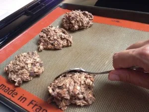 Breakfast cookies