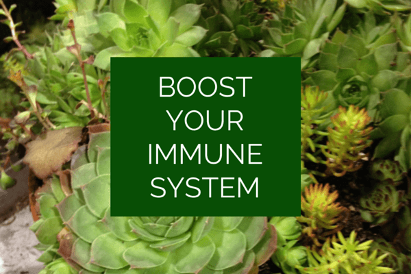 BOOST YOUR IMMUNE SYSTEM