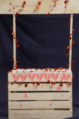 Valentine's Day Photo Shoot