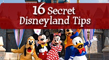 Disneyland Tips