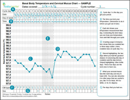 basal body temp chart