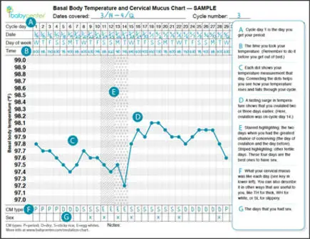 Charting Basal Body Temperatures