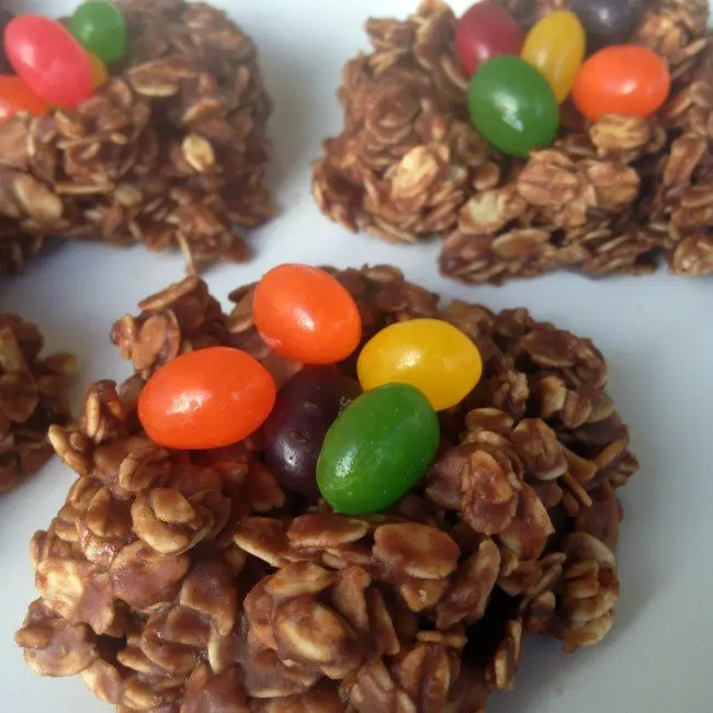 bird nest