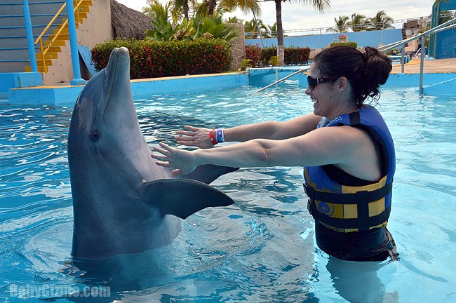 Puerto Vallarta: Dolphin Discovery