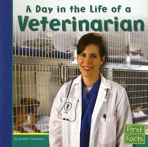 day in the life of a veterinarian