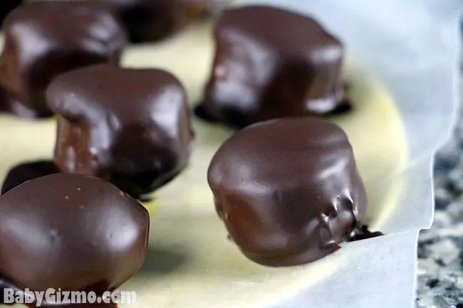 Vanilla Wafer Chocolate Banana Bites Recipe – Baby Gizmo