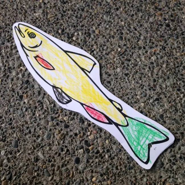 fish colored on paper