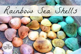 rainbow seashells