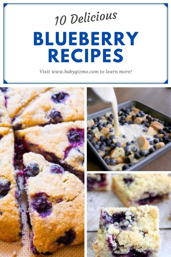 blueberry recipe roundup