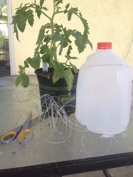 DIY Upcycled Upside Down Tomato Planter