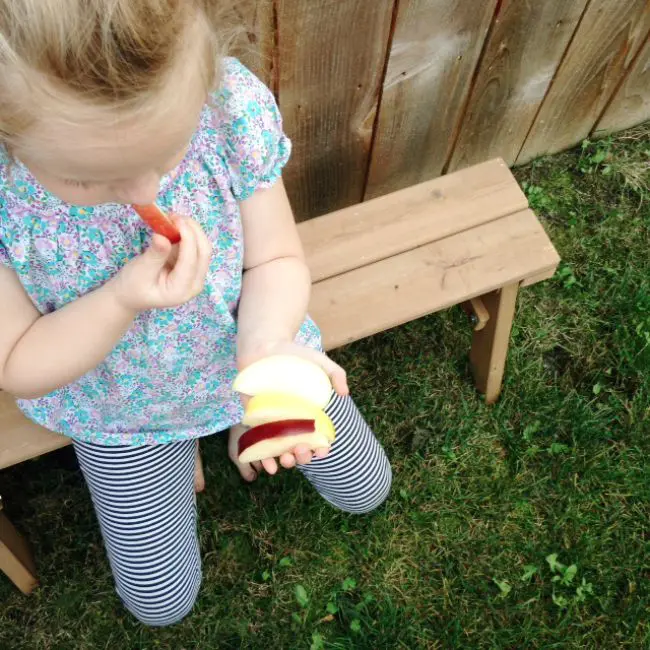 cut apples in little girl's hand