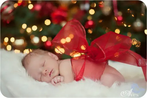 new baby in a bow with christmas tree