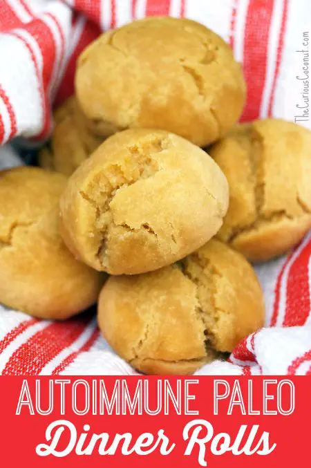 Paleo Dinner Rolls REcipe