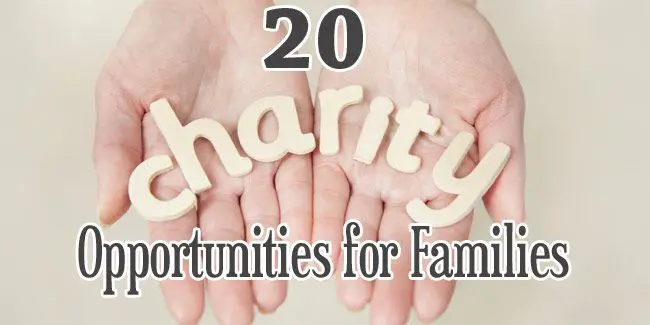 charity opportunities