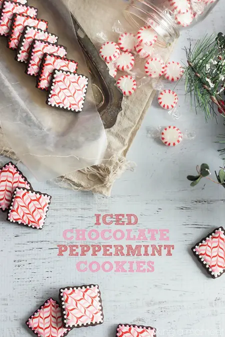 peppermint chocolate cookies