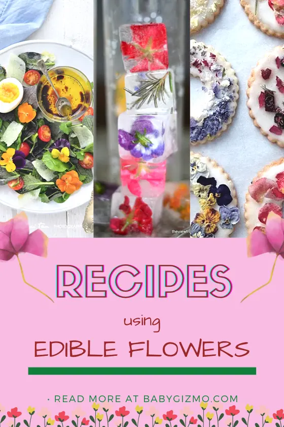 6 Ways to use Edible Flowers - Easy Recipe Ideas