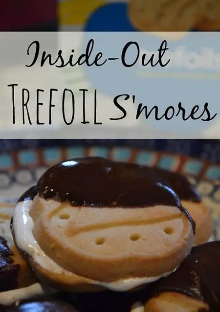 Trefoil Smores Girl Scout Cookies