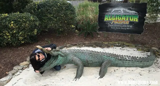 alligator adventure with girl