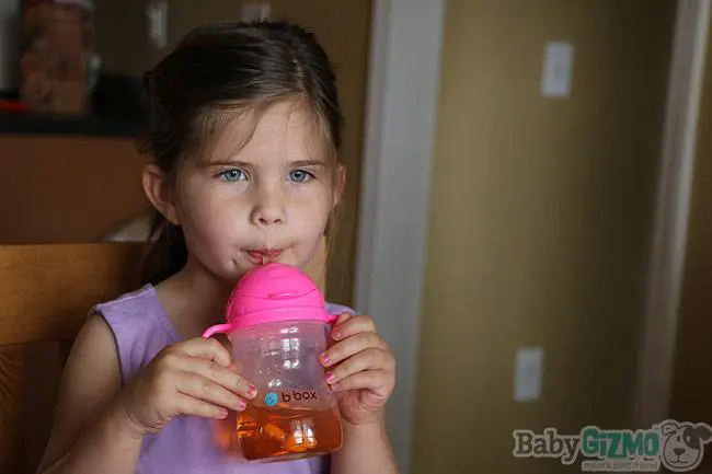 box sippy cup