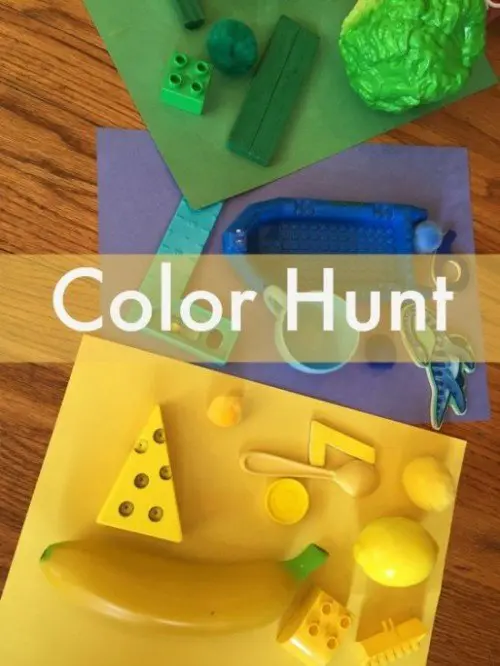 color hunt