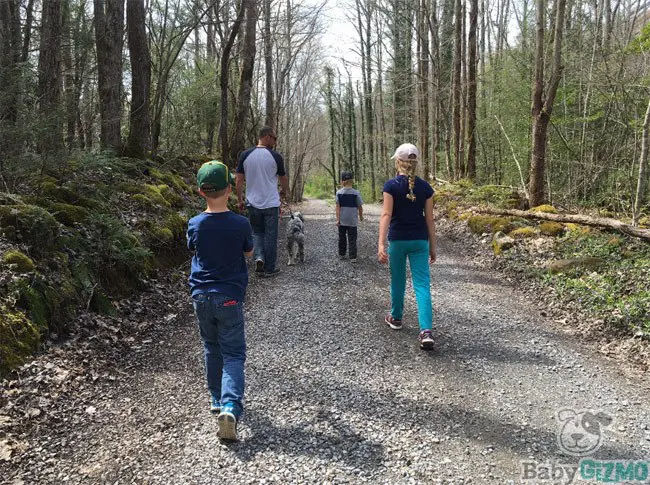 Hiking in Gatlinburg