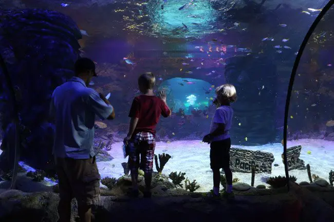 kids at the Sea Life Aquarium