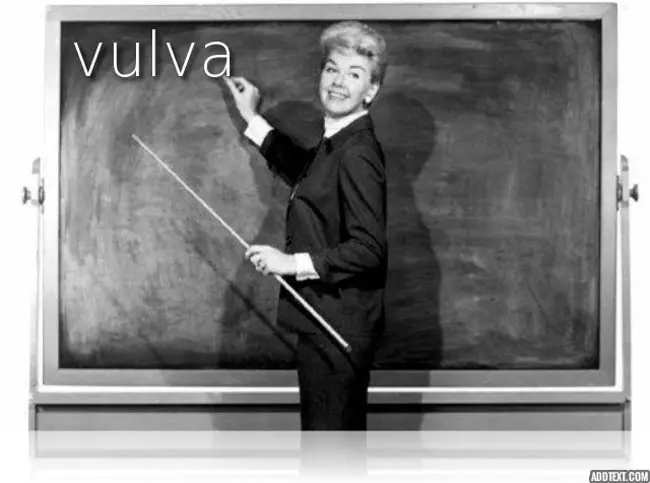 genitals correct names