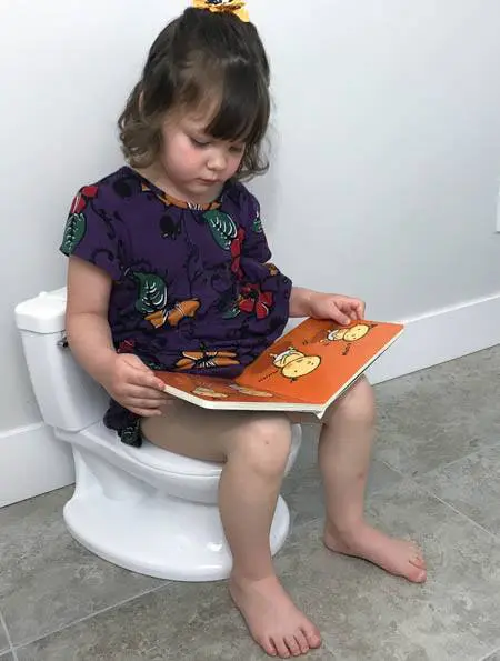 potty Summer Infant