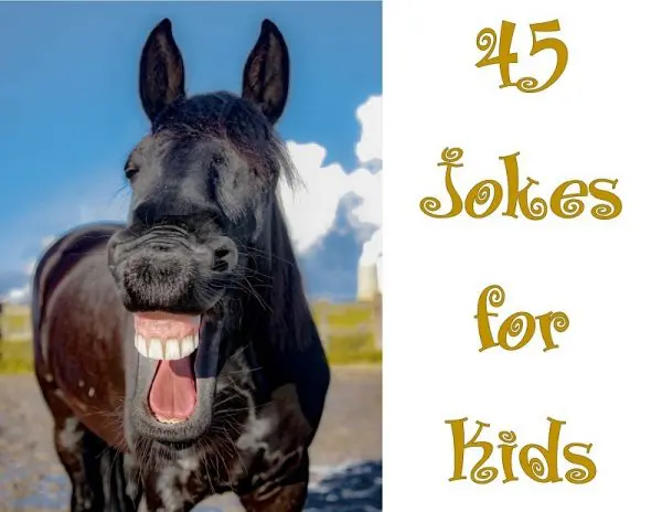 jokes for kids