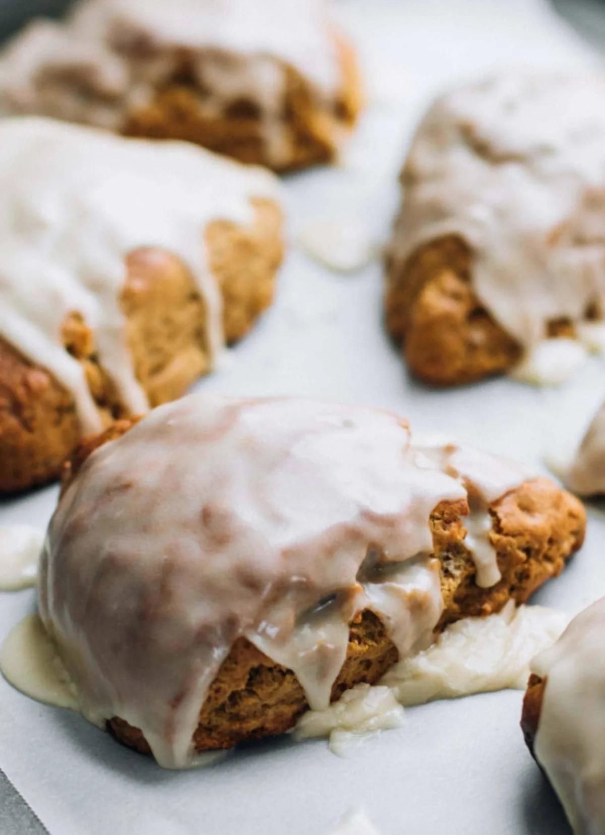 gingerbread scones