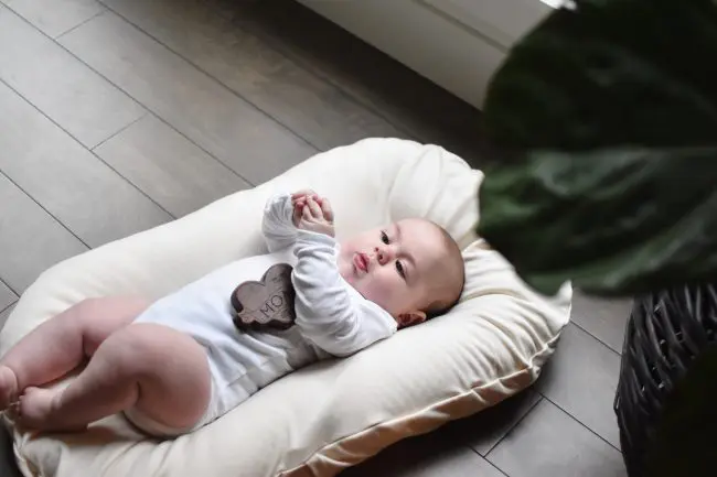 SnuggleMe Organic Infant Lounger + Puddle Pad