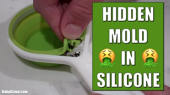 mold in silicone